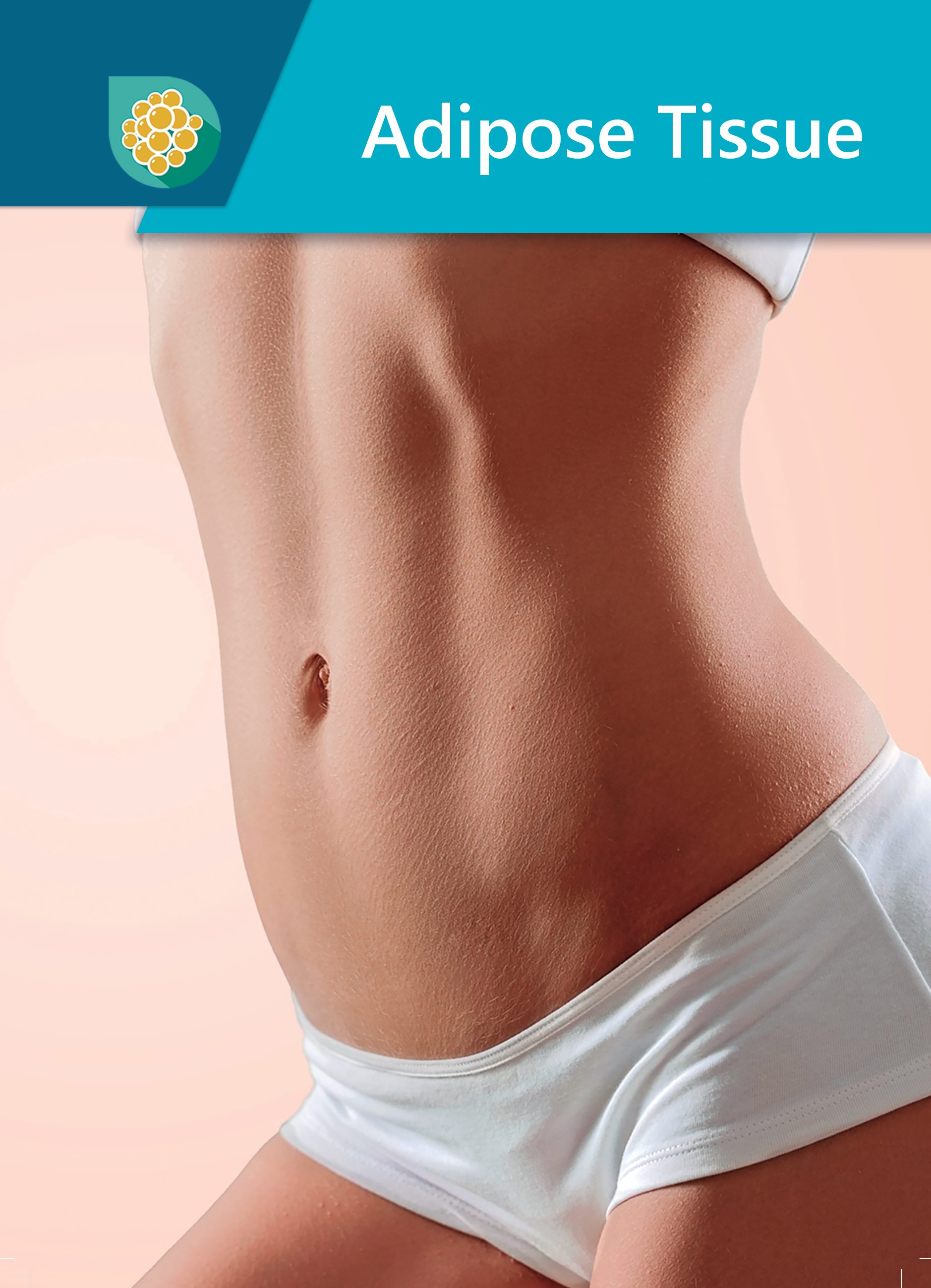 Adipose Tissue